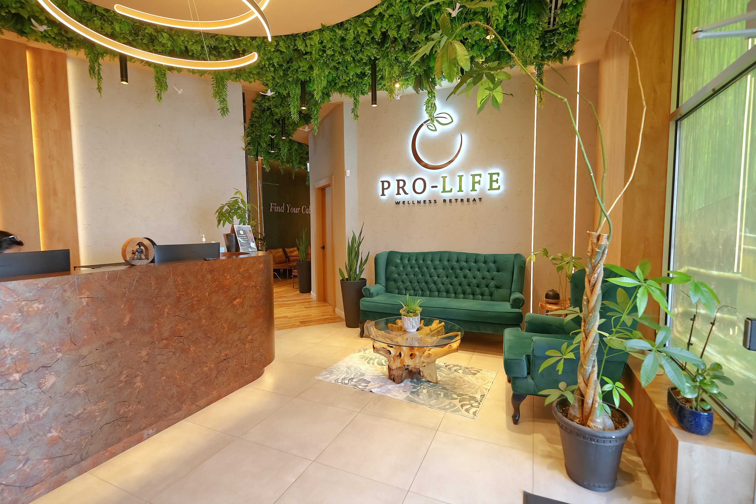 Home_Page_-_1st_picture_of_clinic